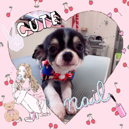 １２月１３日トリミング写真小太郎