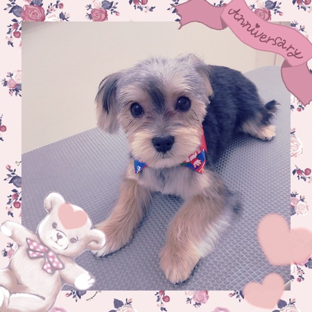 １２月１３日トリミング写真ソラ