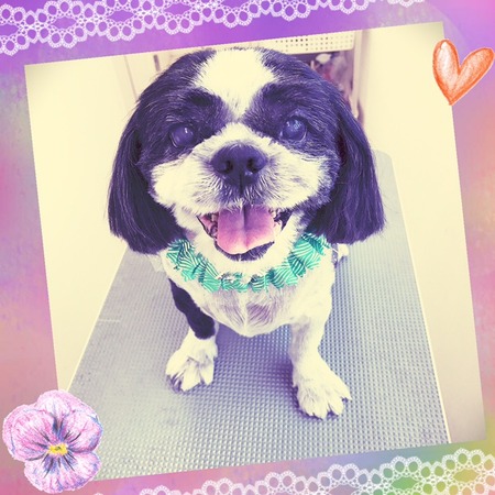 １２月１４日トリミング写真リュウ