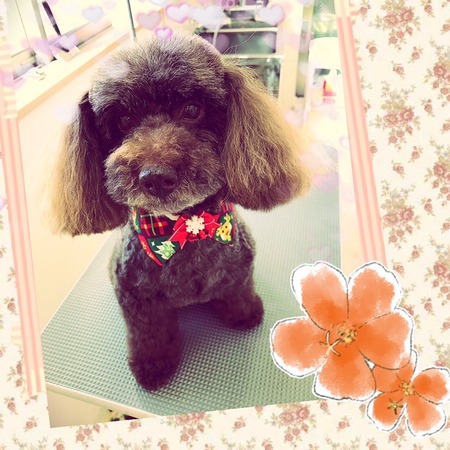 １２月１６日トリミング写真ムサシ