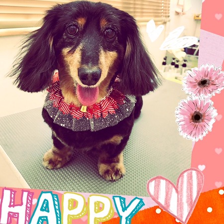 １２月１９日トリミング写真まろん