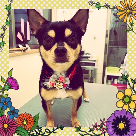 １月４日トリミング写真マル