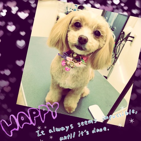 １月７日トリミング写真くぅ