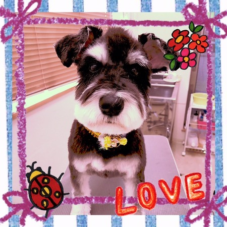 １月６日トリミング写真ベック