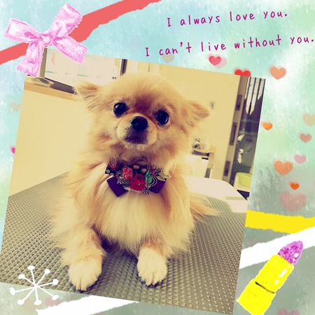 １月６日トリミング写真ココア