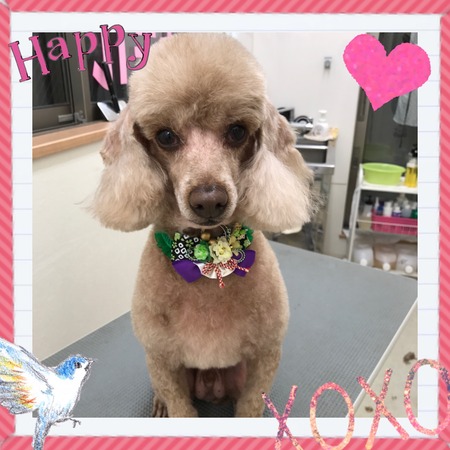 １月６日トリミング写真クー