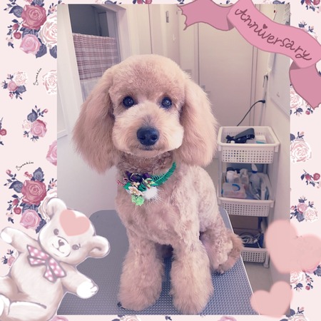 １月１０日トリミング写真けん