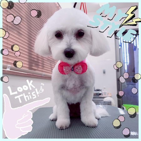 １月１０日トリミング写真はな