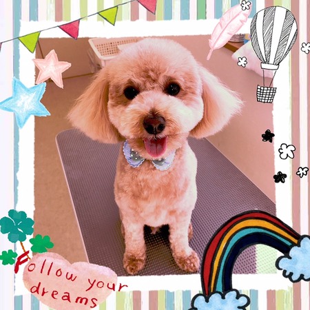 １月１１日トリミング写真マロン