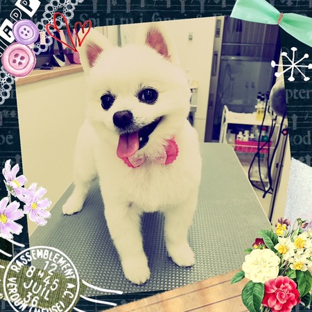 １月１１日トリミング写真レナ