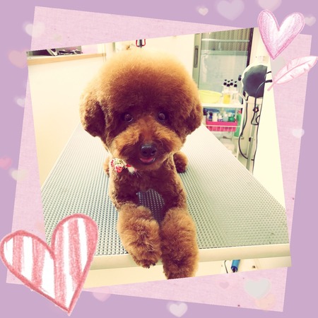 １月９日トリミング写真もこ