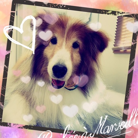 １月１３日トリミング写真るい