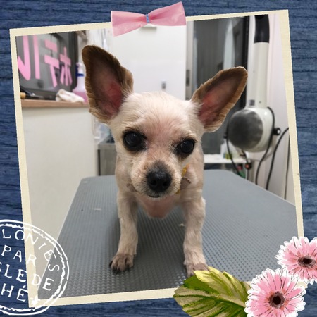 １月１３日トリミング写真青空