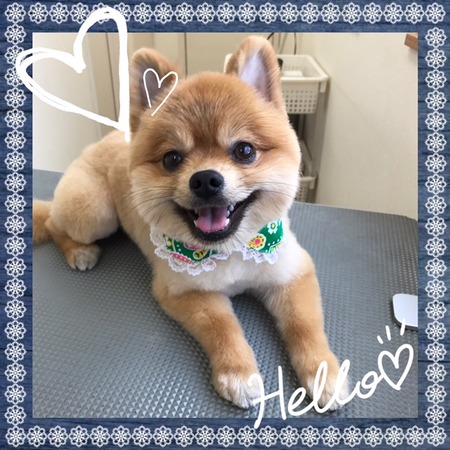 １月１４日トリミング写真ぶん太