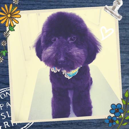 １月１４日トリミング写真ジェット