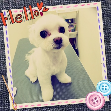 １月１４日トリミング写真ソラ