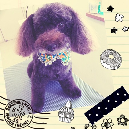 １月１６日トリミング写真ムサシ