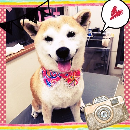 １月１６日トリミング写真モカ