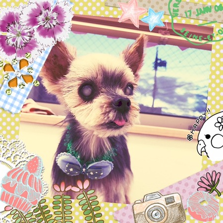 １月１７日トリミング写真ポコ