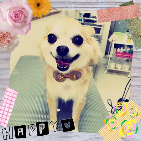 １月１８日トリミング写真しょうた