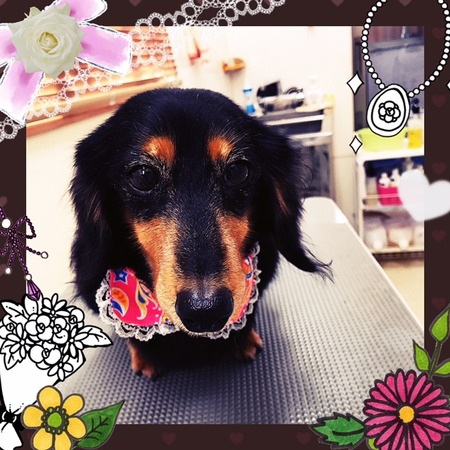 １月１８日トリミング写真ライス