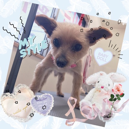 １月２０日トリミング写真レニ