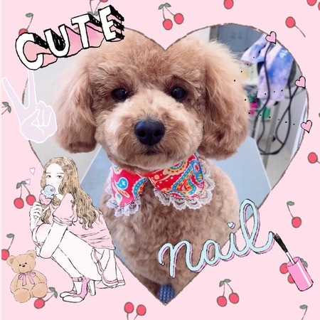 １月２０日トリミング写真nap