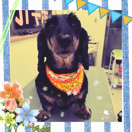 １月２１日トリミング写真ラン