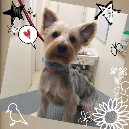 １月２３日トリミング写真むぎ