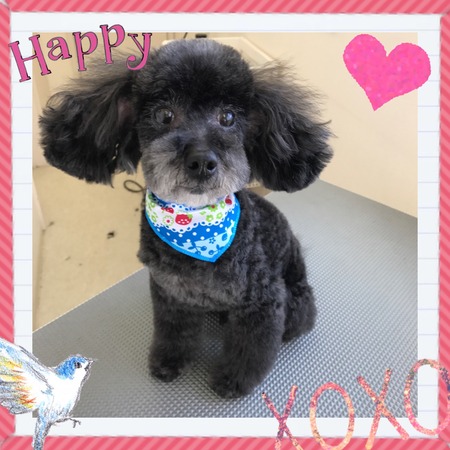 １月２４日トリミング写真ゴウ