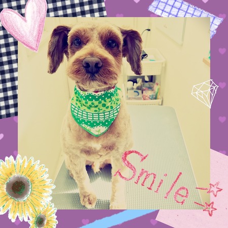 １月２４日トリミング写真ムー