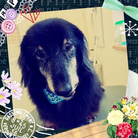 １月２５日トリミング写真ルイ