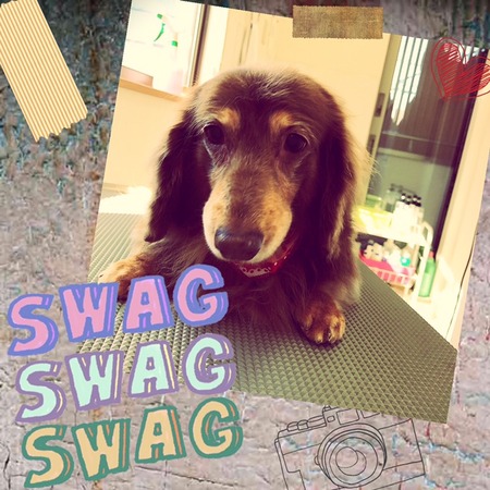 １月２５日トリミング写真チョコラ