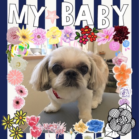 １月２７日トリミング写真ヒメ