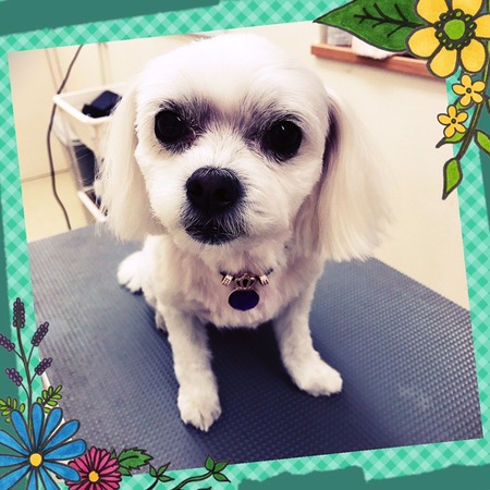 １月２７日トリミング写真ポテト