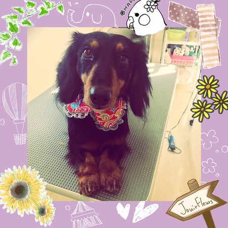 １月２８日トリミング写真もえ