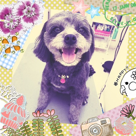 １月２８日トリミング写真あんず