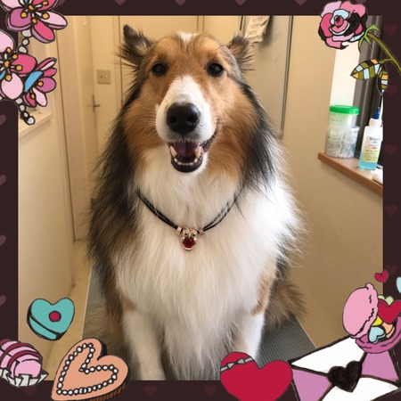 １月３０日トリミング写真モア