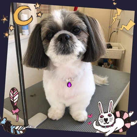 １月３１日トリミング写真ロン