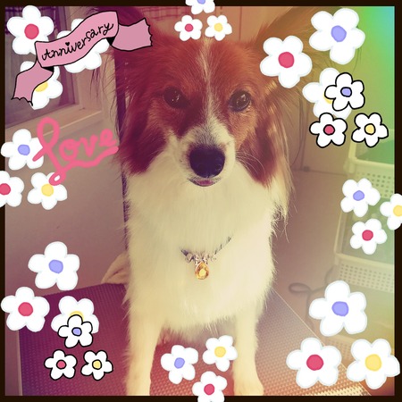 １月３１日トリミング写真れん