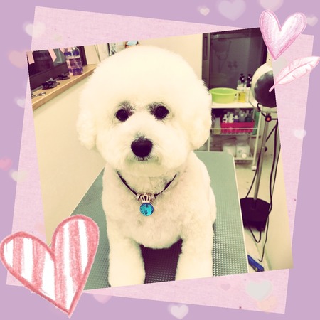 １月３１日トリミング写真ピース