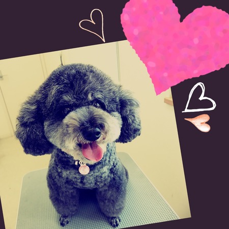 ２月１日トリミング写真ナナ