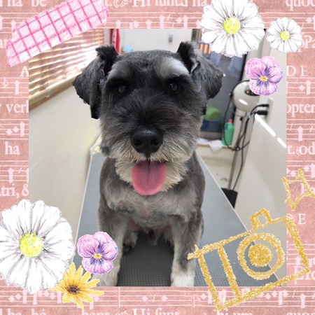 ２月１日トリミング写真ホップ