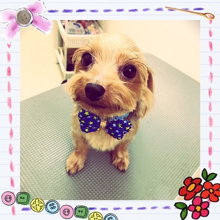 ２月１日トリミング写真ピース