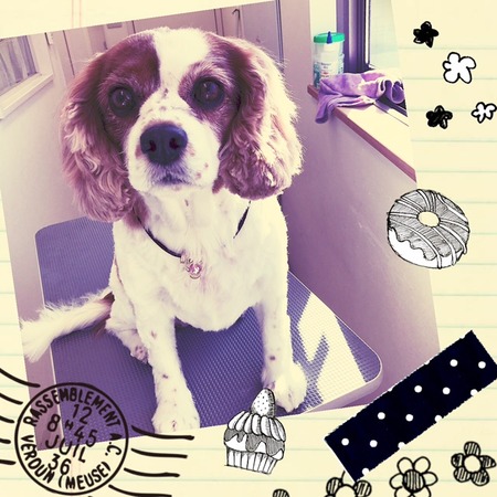 ２月３日トリミング写真なっつ