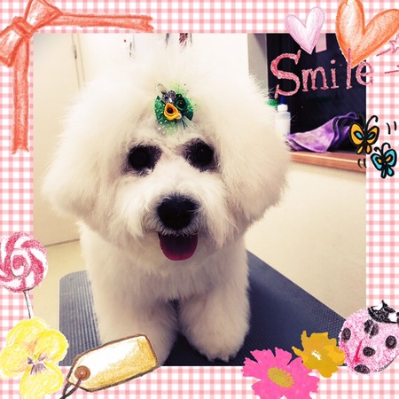 ２月３日トリミング写真こすけ