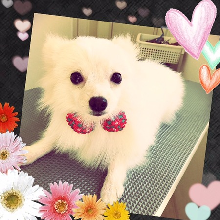 ２月４日トリミング写真ナミ