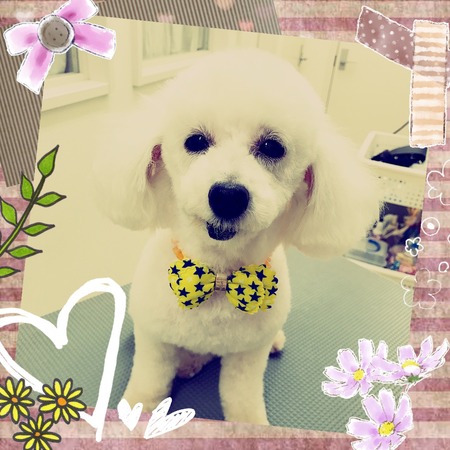 ２月４日トリミング写真ジャック