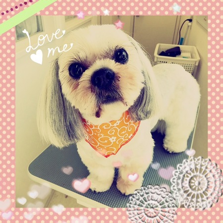 ２月７日トリミング写真蓮