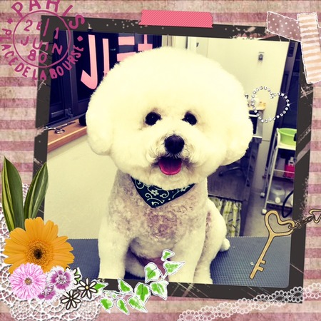 ２月７日トリミング写真ルル